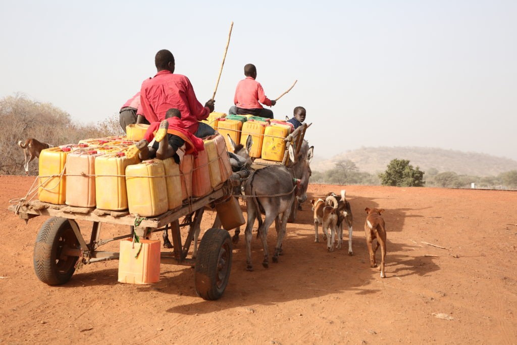 Des jeunes transportent des bidons d'eau sur une charrette tirée par un âne au Mali. 